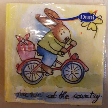 Serviette Cycling Rabbit