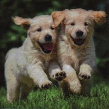 Serviette Happy Puppies