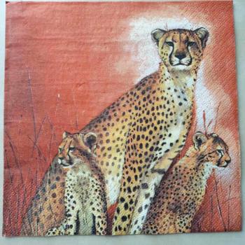 Serviette Gepardfamilie
