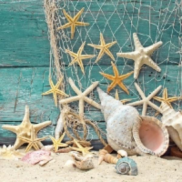 Serviette Starfish