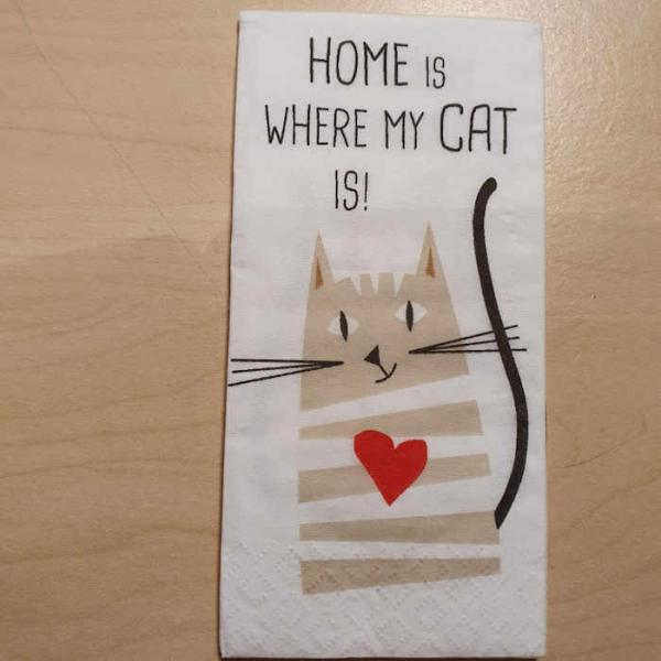 Taschentuch Home Cat
