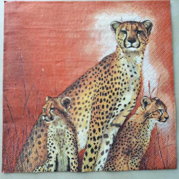 Serviette Gepardfamilie