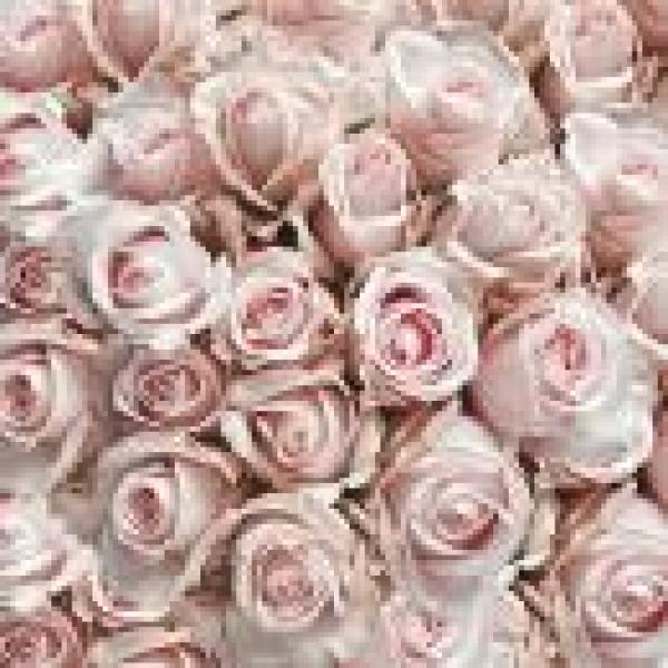Serviette Pastel roses