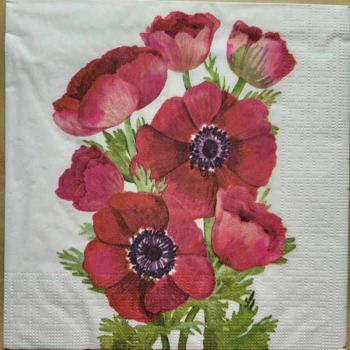 Serviette Jacky