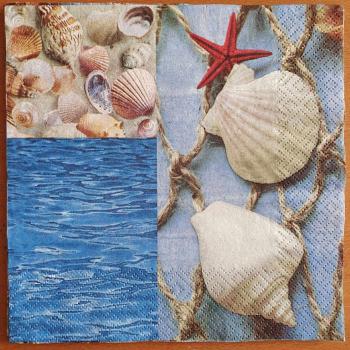 Serviette Muscheln