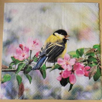 Serviette Spring bird