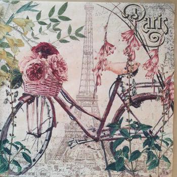 Serviette Velo a Paris