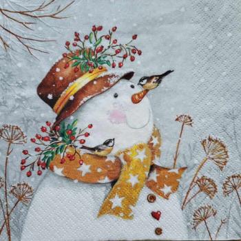 Serviette Snowman and birds