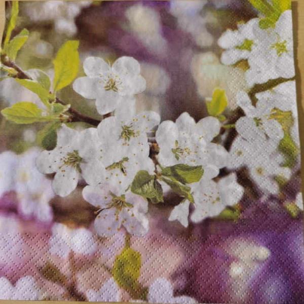 Serviette Blossoming Cherry branch