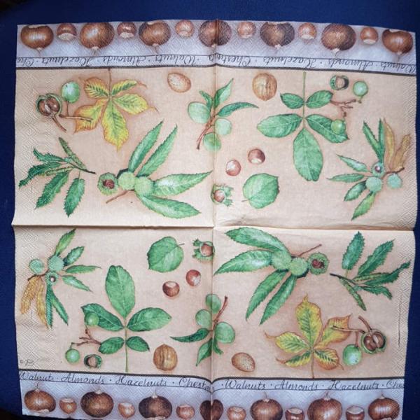 Serviette Nüsse