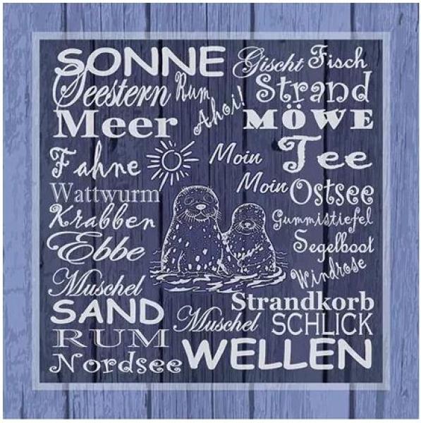 Serviette Beach terms