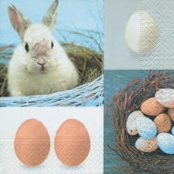 Serviette Egg thief