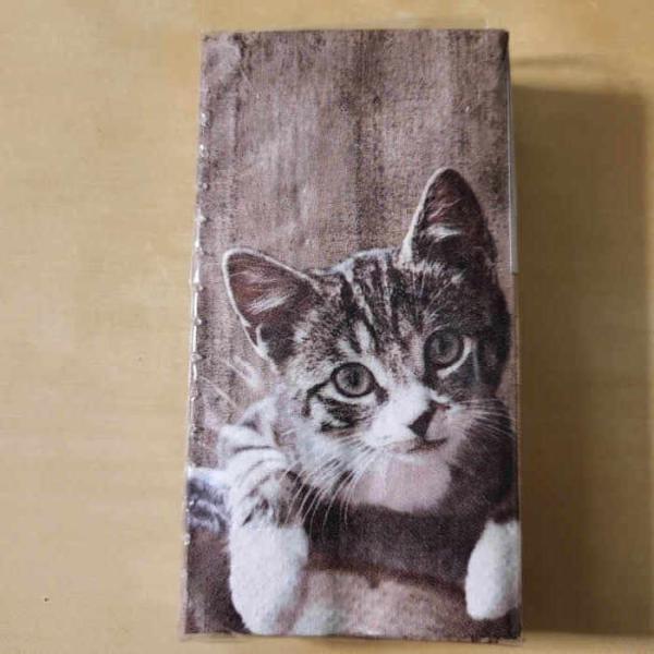 Taschentuch Katze Kasimir