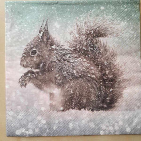 Serviette Eichhörnchen im Schnee 2