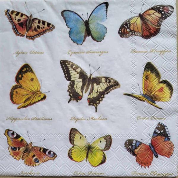 Serviette Collection of butterflies