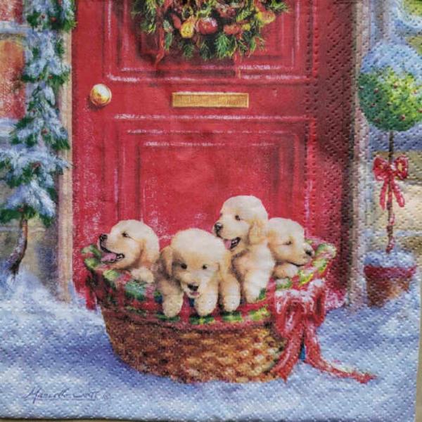 Serviette Hundepuppies