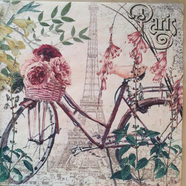 Serviette Velo a Paris