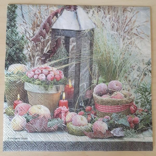 Serviette Frozen Fruits