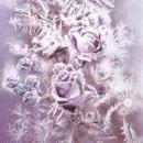 Serviette Frosted roses